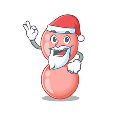 Neisseria gonorrhoeae Santa cartoon character with cute ok finger