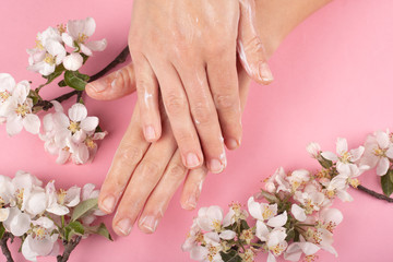 Obraz na płótnie Canvas hands spreading cream close-up on a pink background with branches of white flowers. skin hydration, hand care, beauty, cosmetics