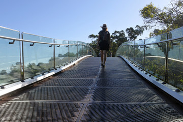 Perth Walkway Glass Arched Bridge Western Australia