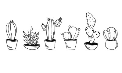 Illustration hand drawn Set Cactus in pot outline.