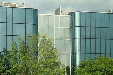 Modern Glass Office Building © Judy Fleming