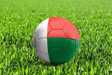 Fototapeta na wymiar Madagascar Flag on Soccer Ball