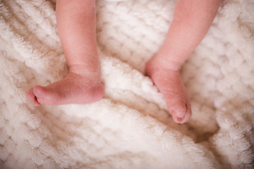 A pair of baby newborn feet in a soft white blanket. Newborn baby feet in warm tone, vintage picture style.