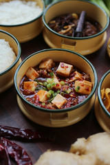 Tasty Mapo tofu in classic pinto lunch box