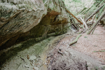 Silent Forest in Marienschlucht  DE Bodensee