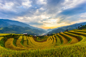 Fototapeta na wymiar Terraced rice paddy field landscape of Mu Cang Chai