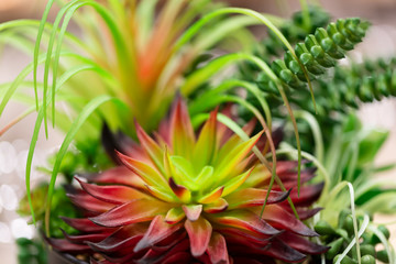 still life with beautiful artificial flowers for decoration