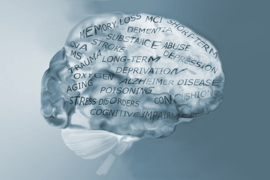 Brain and Memory Loss Causes