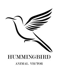 Black line art Vector illustration on a white background of flying hummingbird. Suitable for making logos