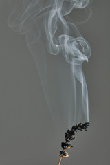 Burning Dried Lavender Flower on Black background