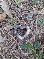 Heart on the ground