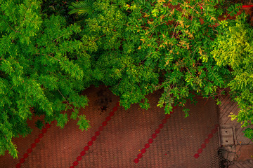 The blurry background of cars parked around buildings or parks surrounded by large trees, stopover