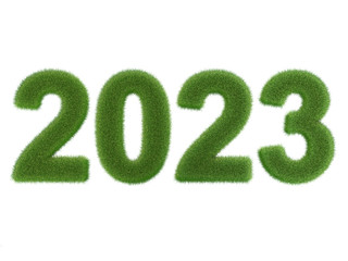 grünes Jahr 2023 aus Gras