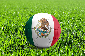 Mexico Flag on Soccer Ball