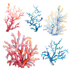 Watercolor coral set illustration. Hand drawn isolated underwater branches on white background.