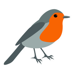 Fototapeta premium Robin bird vector isolated on white background. Robin (Erithacus rubecula illustration)