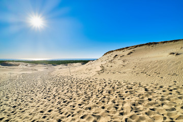 Fototapeta na wymiar Beautiful calm view of nordic sand dunes and protective fences at Curonian spit, Nida, Klaipeda, Lithuania. Buried wood, desert and sand, blue sky