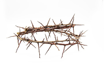 A crown of thorns on a white background. Conceptual phototo use in the design. A wreath of branches...