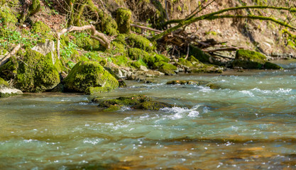 small river at spring time