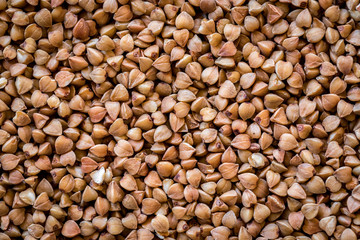 buckwheat background close up macro