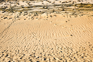 Patterns of lines, waves, footprints and dry grass in nordic dunes of Curonian spit, Nida, Klaipeda, Lithuania. Desert, eternity, beauty, calm feeling