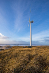 Obraz premium Wind turbine on a sea coast
