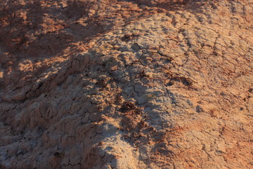 Fototapeta na wymiar Dry ground texture background