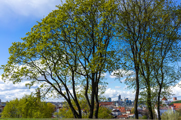 Obraz premium April 27, 2018 Vilnius, Lithuania, View of the old city of Vilnius from the top point.
