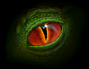 Dragon eye © Refluo