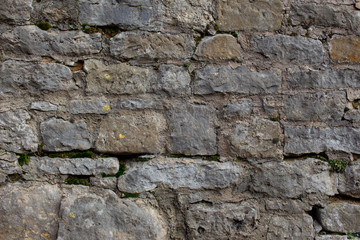 Old natural stone wall with plants and moss growing out of the cracks background