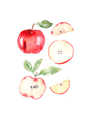 Modern painted pattern of red apples , whole and sliced