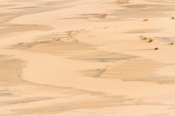 Sandy brown background. Sand nature texture in summer sunny day
