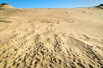Patterns of lines, waves, footprints and dry grass in nordic dunes of Curonian spit, Nida, Klaipeda, Lithuania. Desert, eternity, beauty, calm feeling