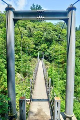 Fototapeta premium 吊り橋