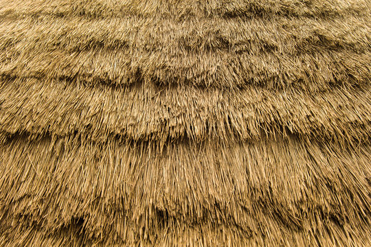Backdrop with thatched roof detail