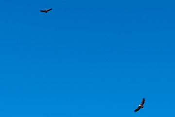 The elevation above the Greek village from a bird's-eye view