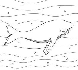 Naklejka premium Simple cute whale in the ocean on white isolated background. Underwater cartoon illustration. For coloring book pages.