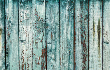 Fototapeta na wymiar Shabby wood texture. Vintage wooden fence, desk surface. Natural color. Weathered timber, background. Green old planks.
