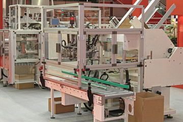 Automated Carton Packing Machine
