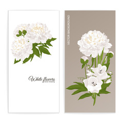 Floral posters, banners, greeting card - peonies, lilies.