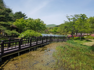 Fototapeta premium bridge over river