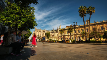 Fototapeta premium Seville, Spain - February 18th, 2020 - the Constitution Avenue near the Seville Cathedral and General Archive of the Indies in Seville, Spain.