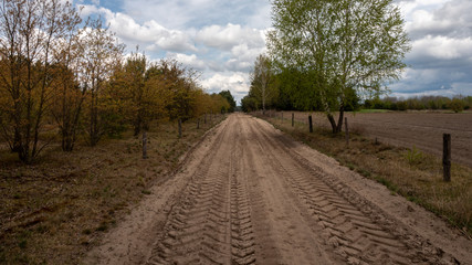 Fototapeta na wymiar A rural, sandy road with traces of a passing machine next to a plowed field