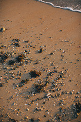Fototapeta na wymiar Beach Sand Close Up