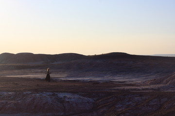 Lonely silhouette of young woman walking in beautiful martian background 