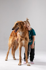 Borzoi with girl indoor on white background