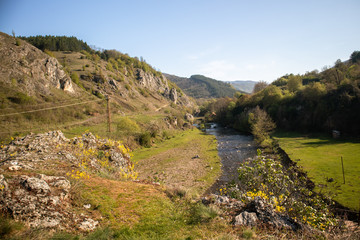 Clean and speed mountain river on Old Mountain (stara planina) in Serbia