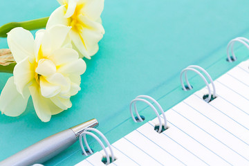 Top view photo of mint notebook and ball-point pen with daffodils, copy space. Minimalist flat lay image of mint diary and pen as gentle girl office background