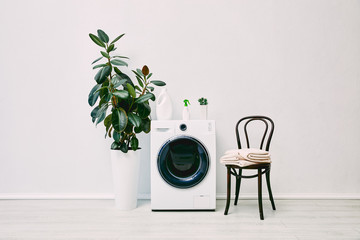 green plants near bottles on washing machine near chair with towels