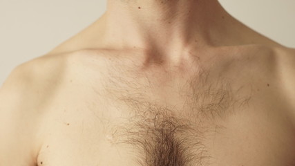 Brustkorb / Chest